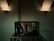 In The Basement (Im Keller) (2014) BDSM scenes