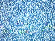 Tera Patrick Fuck (2005)