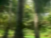 Tera Patrick Fuck (2005)