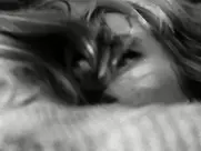 They Call Us Misfits, 1968