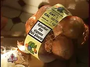 Groland nue - Toucher des seins fait bander