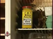 Groland nue - Toucher des seins fait bander