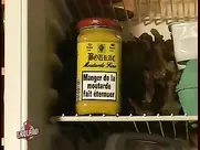 Groland nue - Toucher des seins fait bander