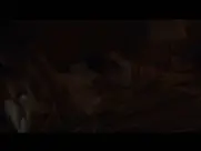 Shailene Woodley - Three Women s1