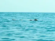 Emma Suárez - Una Ventana al Mar (2019)