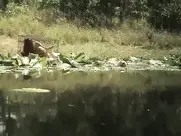 Tara Price nude - Creeper (2012) 2