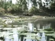 Tara Price nude - Creeper (2012) 2