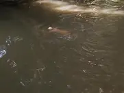 Daryl Hannah, Kathy Bates nude scenes from At Play in the Fields of the Lord (1991)