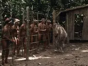 Daryl Hannah, Kathy Bates nude scenes from At Play in the Fields of the Lord (1991)