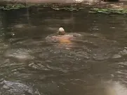 Daryl Hannah, Kathy Bates nude scenes from At Play in the Fields of the Lord (1991)