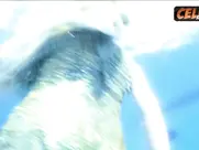 Kim Cattrall Great Scenes