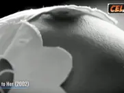 Paz Vega  Great Scenes