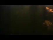 Bianca Van Damme In Dreams 2023