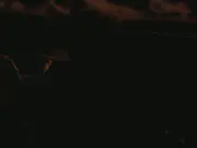 KiKi Layne - Dandelion (2024)