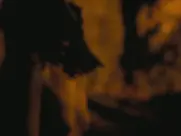 KiKi Layne - Dandelion (2024)