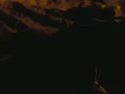 KiKi Layne - Dandelion (2024)