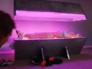 Tane McClure - Death Spa (1988)