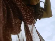 Petra Michelle Nérette - Hartwig Seeler - Im Labyrinth der Rache (2022)