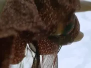 Petra Michelle Nérette - Hartwig Seeler - Im Labyrinth der Rache (2022)