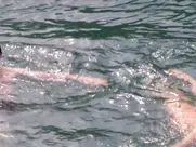 Olivia Delcan nude in Isla Bonita (2015)