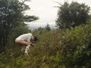 Laia Costa nude in Maine (2018)