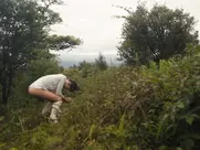 Laia Costa nude in Maine (2018)