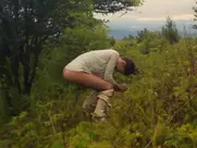 Laia Costa nude in Maine (2018)