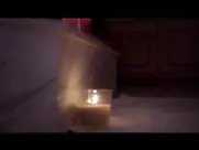 Stacee Nino - "Damn I Look Good"