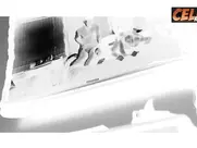 Top 5 Most Watched Scenes of 2024