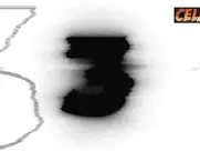 Top 5 Most Watched Scenes of 2024