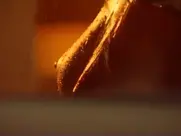 Agnieszka Dygant - Fala zbrodni (s01 e06, 2003)