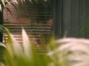 Chacha Huang - Emmanuelle (2024)