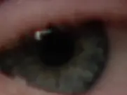 Enigma Rosso - Shower scene