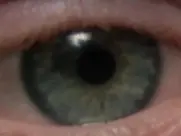 Enigma Rosso - Shower scene