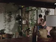 Jasna Beri Druga Žikina dinastija