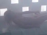 Brenda Bakke - Death Spa (1988)