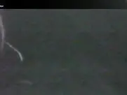 Carole Laure The Angel and the Woman