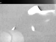 Carole Laure The Angel and the Woman