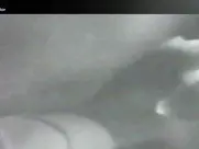 Carole Laure The Angel and the Woman