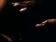 Brenda Bakke - Shelter (1998)