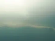 Pavla Beretová - Rok vdovy (2024)