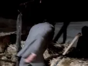 Gabrielle Drake - Au Pair Girls (1972)