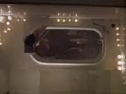 Gabrielle Fitzpatrick - Farewell, My Love (2000)