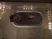 Gabrielle Fitzpatrick - Farewell, My Love (2000)