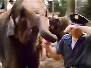 Lisa Parker -Tab Cola Commercial - (1982)