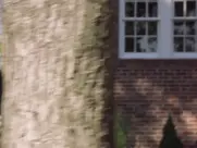 Susan Allenback - A Dirty Shame - Film (2004)