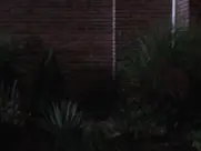 Susan Allenback - A Dirty Shame - Film (2004)