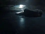 Elzemarieke de Vos - Ostfriesenfluch (2025)