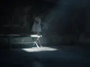 Elzemarieke de Vos - Ostfriesenfluch (2025)