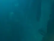 Souheila Yacoub - Planète B (2024)